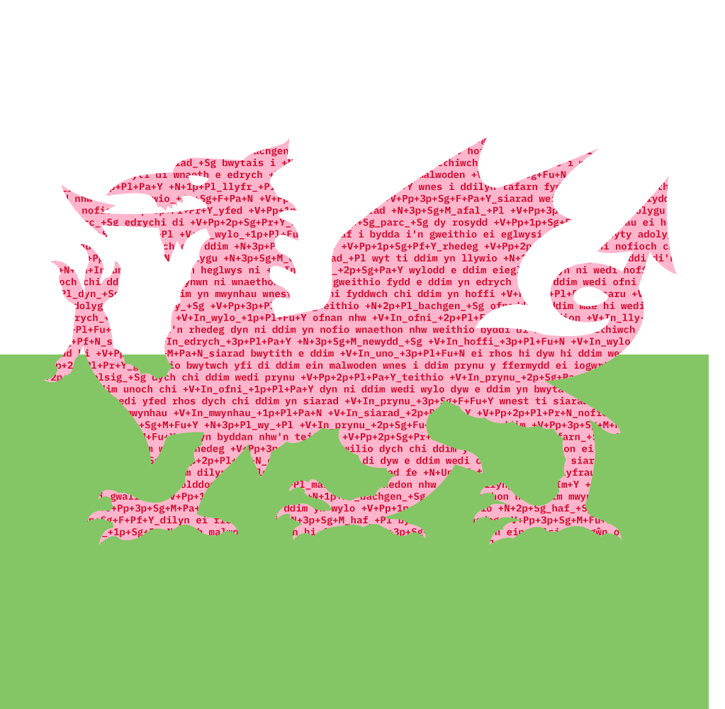 Welsh Morphological Analyzer